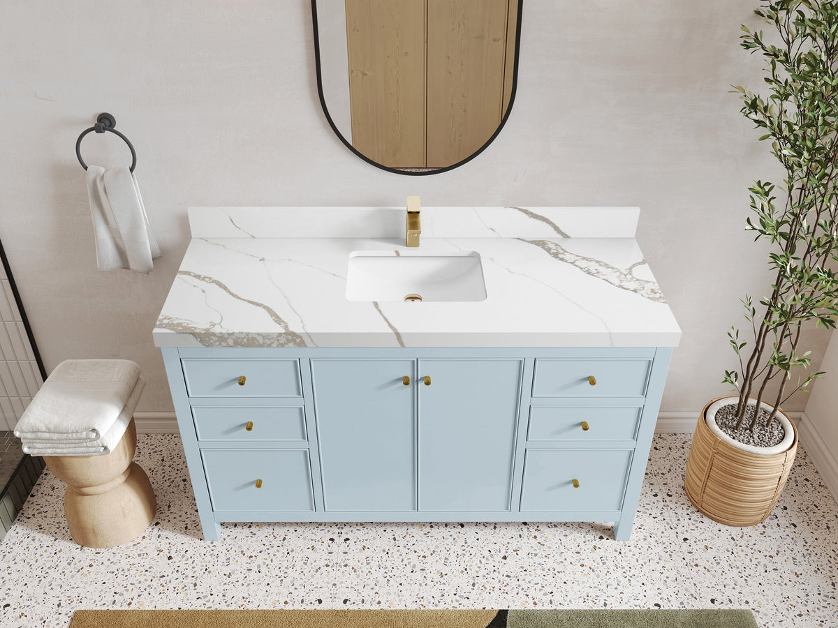 Chicago 60 in. W x 22 in. D Single Sink Bathroom Vanity - Willow Bath and Vanity