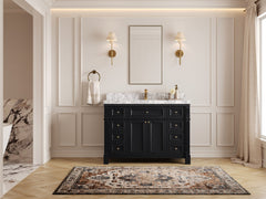Paris 48 in. W x 22 in. D Single Sink Bathroom Vanity - photo 4