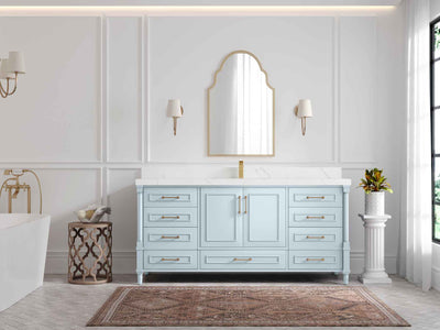 Aberdeen 72 in. W x 22 in. D Single Sink Bathroom Vanity