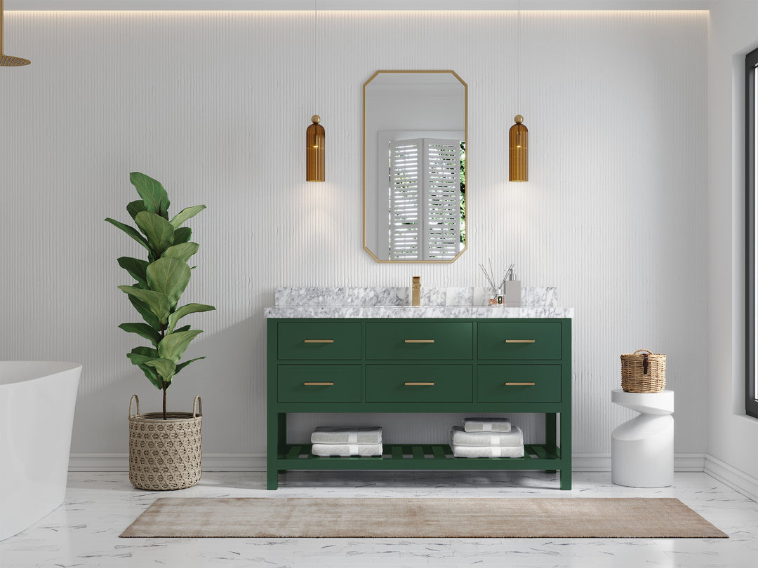 Parker 60 in. W x 22 in. D Single Sink Bathroom Vanity