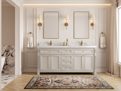 Paris 72 in. W x 22 in. D Double Sink Bathroom Vanity