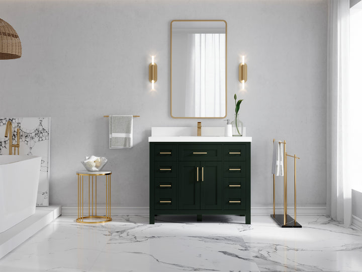 Cambridge 42 in. W x 22 in. D Single Sink Bathroom Vanity - photo 3