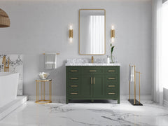 Cambridge 48 in. W x 22 in. D Single Sink Bathroom Vanity - photo 4