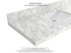 Cambridge 48 in. W x 22 in. D Double Sink Bathroom Vanity - photo 2
