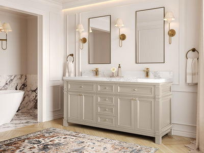 Paris 72 in. W x 22 in. D Double Sink Bathroom Vanity