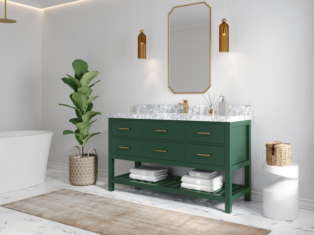 Parker 60 in. W x 22 in. D Single Sink Bathroom Vanity