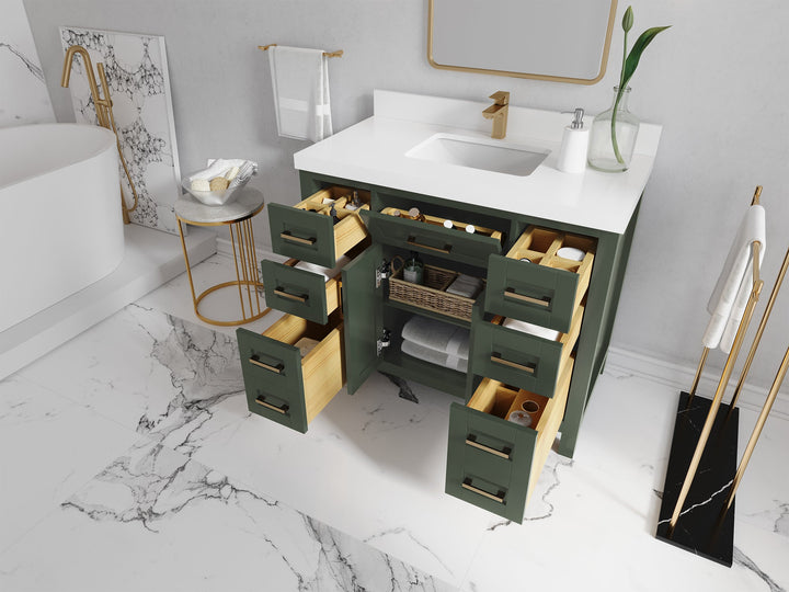Cambridge 42 in. W x 22 in. D Single Sink Bathroom Vanity - photo 3
