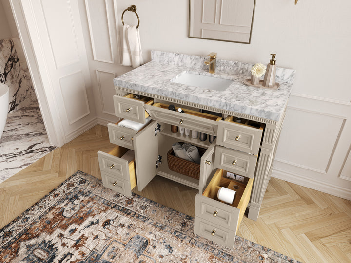 Paris 48 in. W x 22 in. D Single Sink Bathroom Vanity - photo 3