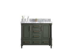 Aberdeen 42 in. W x 22 in. D Single Sink Bathroom Vanity - photo 1