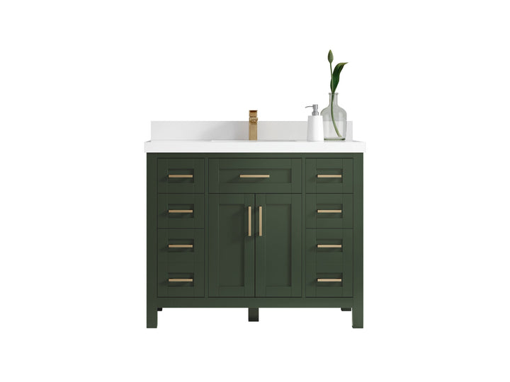 Cambridge 42 in. W x 22 in. D Single Sink Bathroom Vanity - photo 1