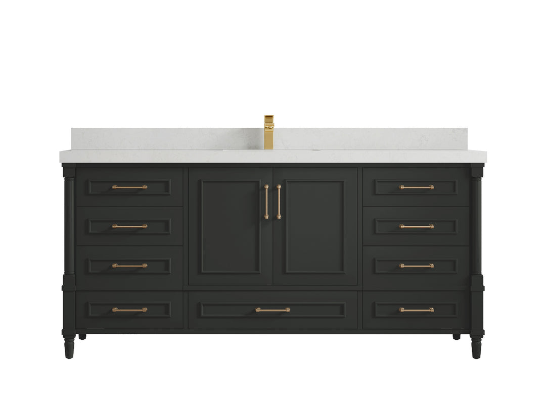 Aberdeen 72 in. W x 22 in. D Single Sink Bathroom Vanity in Black Top with 2 in Carrara Quartz Countertop 