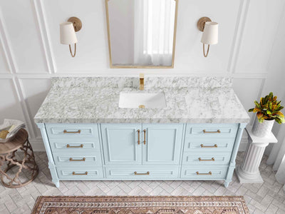 Aberdeen 72 in. W x 22 in. D Single Sink Bathroom Vanity