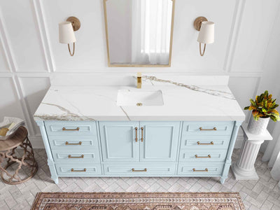 Aberdeen 72 in. W x 22 in. D Single Sink Bathroom Vanity