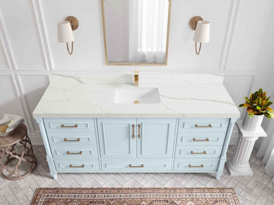 Aberdeen 72 in. W x 22 in. D Single Sink Bathroom Vanity