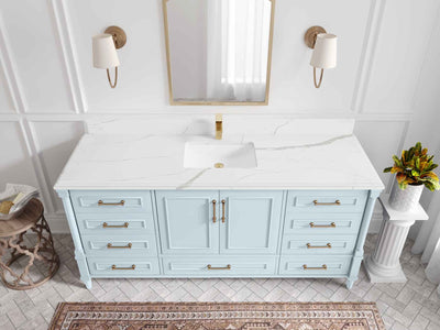 Aberdeen 72 in. W x 22 in. D Single Sink Bathroom Vanity