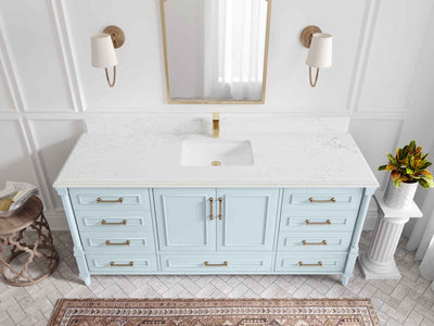 Aberdeen 72 in. W x 22 in. D Single Sink Bathroom Vanity