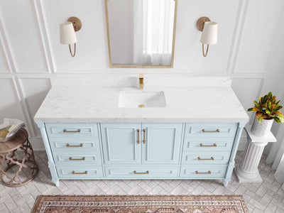 Aberdeen 72 in. W x 22 in. D Single Sink Bathroom Vanity