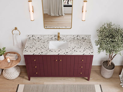Atlanta 60 in. W x 22 in. D Single Sink Bathroom Vanity