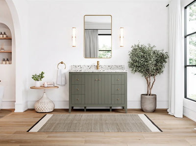 Atlanta 48 in. W x 22 in. D Single Sink Bathroom Vanity