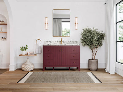 Atlanta 48 in. W x 22 in. D Single Sink Bathroom Vanity