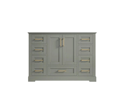 Boston 48 in. W x 22 in. D Single Sink Bathroom Vanity in Evergreen with Countertop - Cabinet Only
