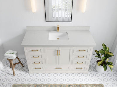 Boston 60 in. W x 22 in. D Single Sink Bathroom Vanity in Alabaster with 2 in Carrara Quartz Countertop - Top View