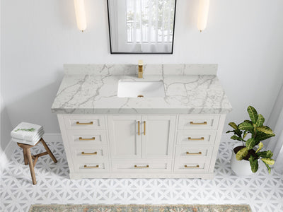 Boston 60 in. W x 22 in. D Single Sink Bathroom Vanity in Alabaster with 2 in Venatino Quartz Countertop - Top View