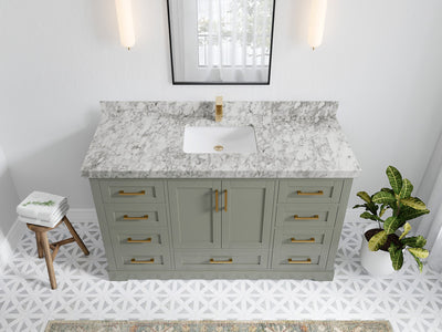Boston 60 in. W x 22 in. D Single Sink Bathroom Vanity in Evergreen with 2 in Carrara Marble Countertop - Top View