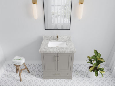 Boston 30 in. W x 22 in. D Single Sink Bathroom Vanity in Elephant Skin Gray with 2 in Carrara Marble Countertop - Top View