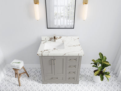 Boston 36 in. W x 22 in. D Single Sink Bathroom Vanity in Elephant Skin Gray with 2 in Viola Brown Quartz Countertop - Top View
