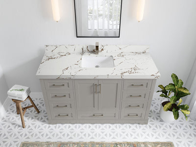 Boston 60 in. W x 22 in. D Single Sink Bathroom Vanity in Elephant Skin Gray with 2 in Viola Brown Quartz Countertop - Top View