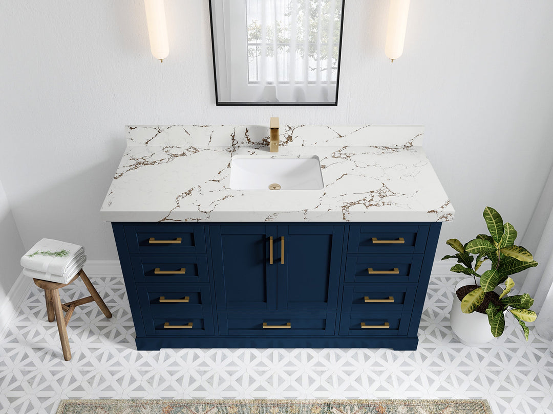 Boston 60 in. W x 22 in. D Single Sink Bathroom Vanity in Navy Blue with 2 in Viola Brown Quartz Countertop - Top View