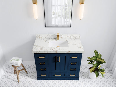 Boston 42 in. W x 22 in. D Single Sink Bathroom Vanity in Navy Blue with 2 in Viola Gold Quartz Countertop - Top View