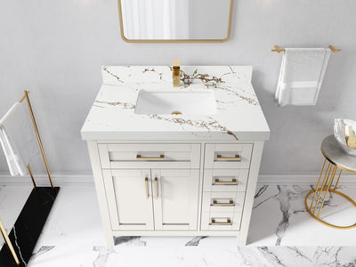 Cambridge 36 in. W x 22 in. D Single Center Sink Bathroom Vanity