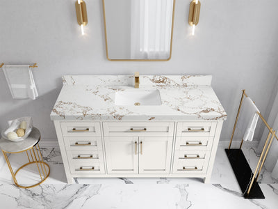 Cambridge 60 in. W x 22 in. D Single Sink Bathroom Vanity