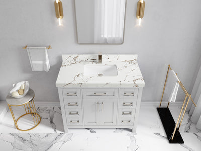 Cambridge 42 in. W x 22 in. D Single Sink Bathroom Vanity