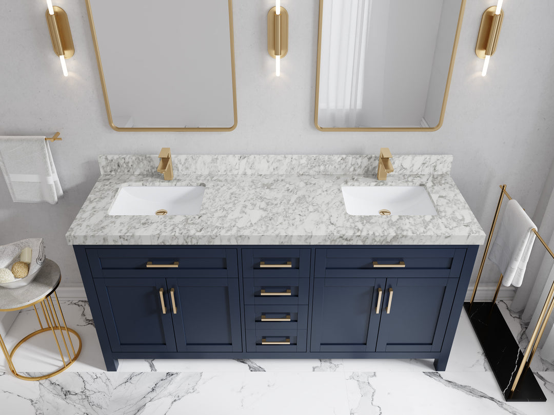 Cambridge 72 in. W x 22 in. D Double Sink Bathroom Vanity