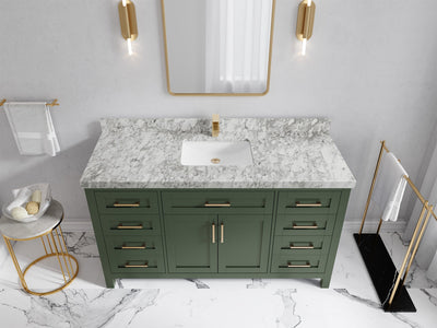 Cambridge 60 in. W x 22 in. D Single Sink Bathroom Vanity