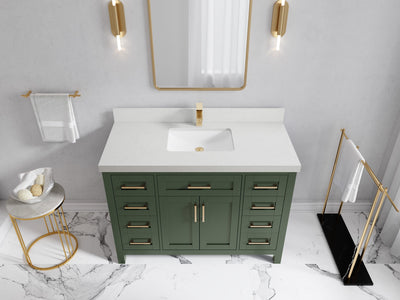Cambridge 48 in. W x 22 in. D Single Sink Bathroom Vanity