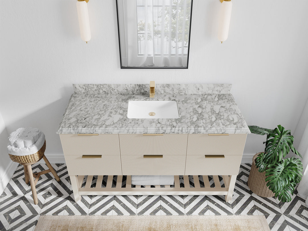 Catalina 60 in. W x 22 in. D Single Sink Bathroom Vanity in Fine Grain with 1.5 in Double Cove Edge Carrara Marble Countertop- Top View 