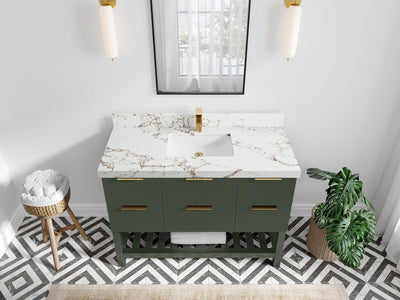 Catalina 48 in. W x 22 in. D Single Sink Bathroom Vanity in Pewter Green with 2 in Viola Gold Quartz Countertop - Top View