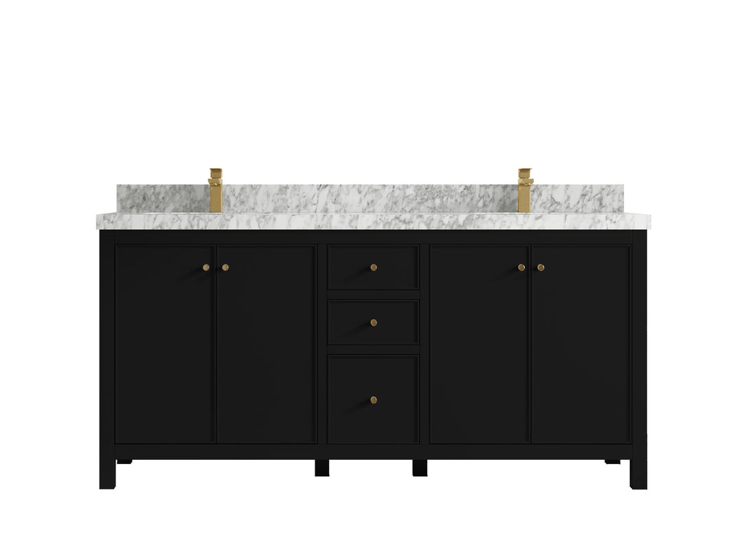 Chicago 72 in. W x 22 in. D Double Sink Bathroom Vanity