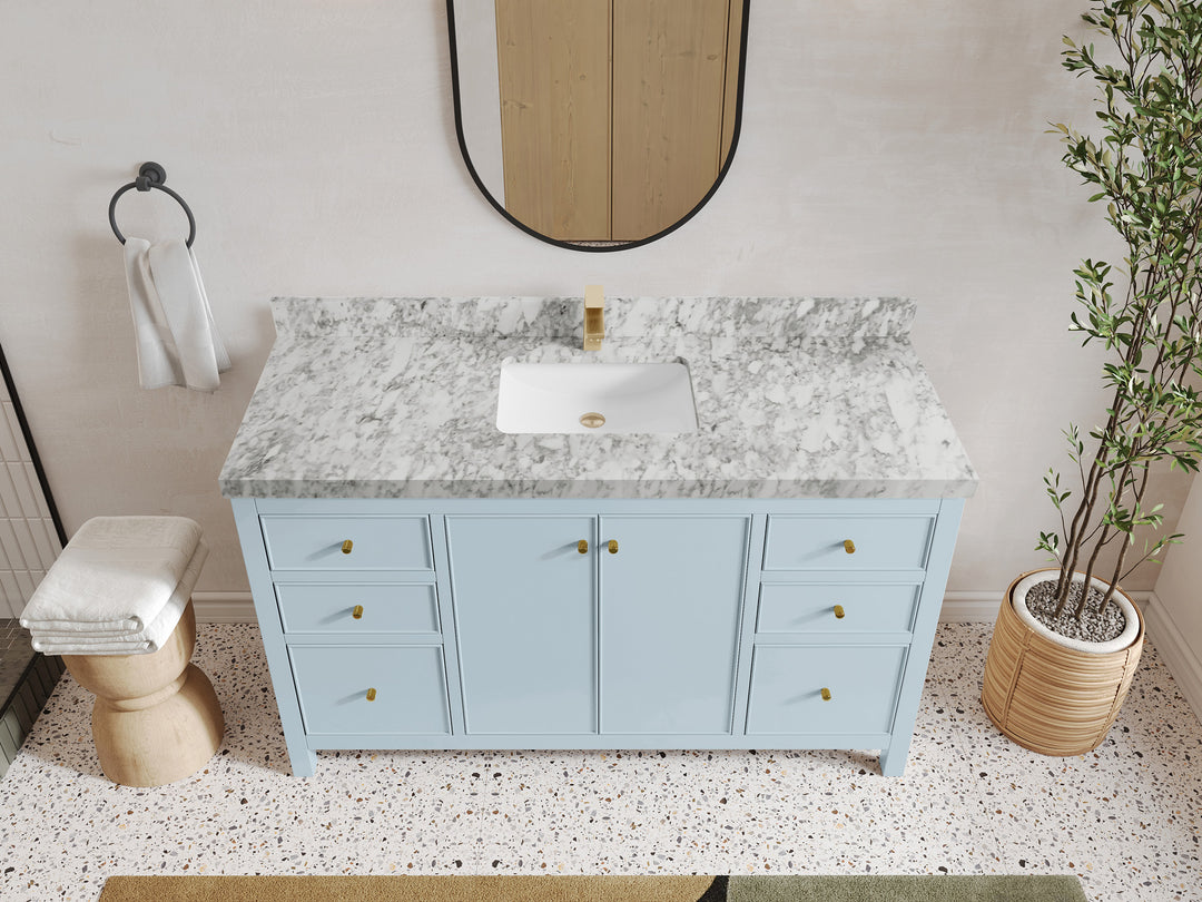 Chicago 60 in. W x 22 in. D Single Sink Bathroom Vanity