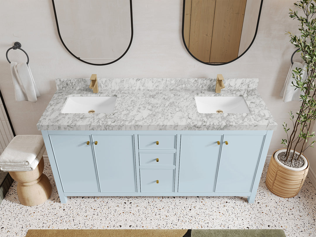 Chicago 72 in. W x 22 in. D Double Sink Bathroom Vanity