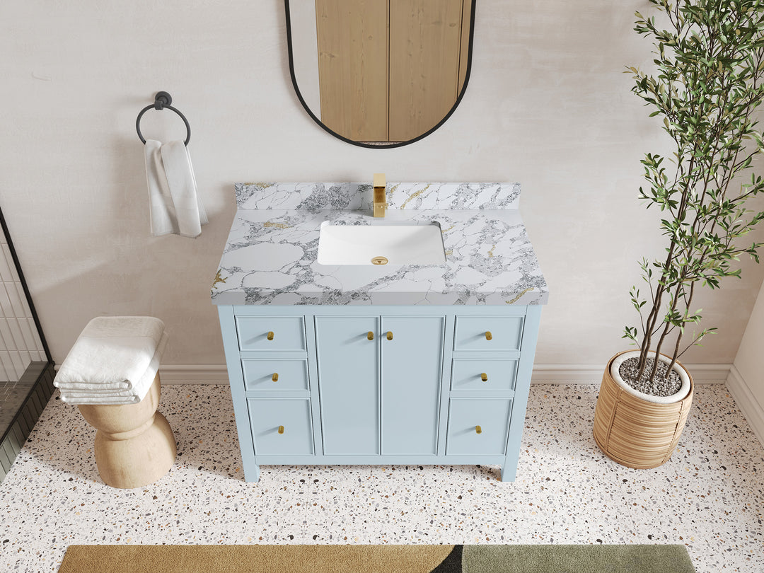 Chicago 42 in. W x 22 in. D Single Sink Bathroom Vanity