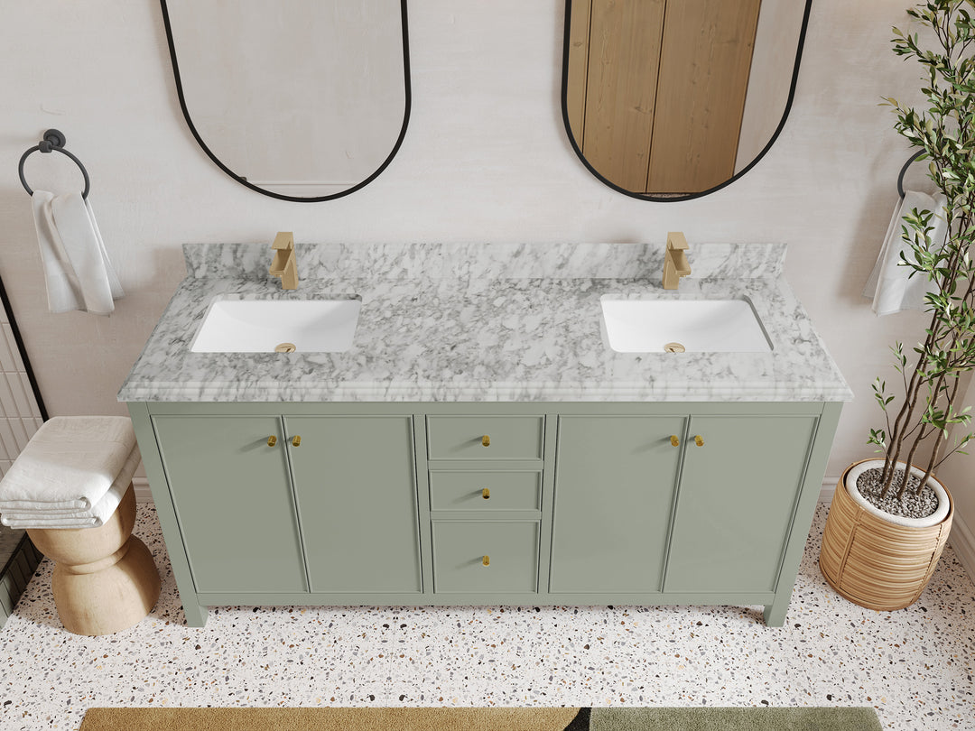 Chicago 72 in. W x 22 in. D Double Sink Bathroom Vanity