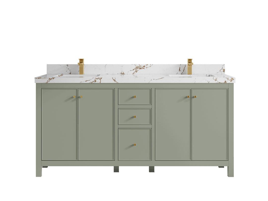 Chicago 72 in. W x 22 in. D Double Sink Bathroom Vanity