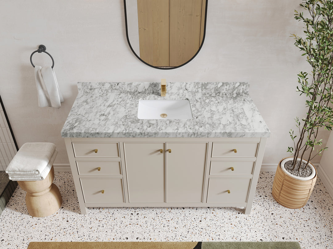 Chicago 60 in. W x 22 in. D Single Sink Bathroom Vanity