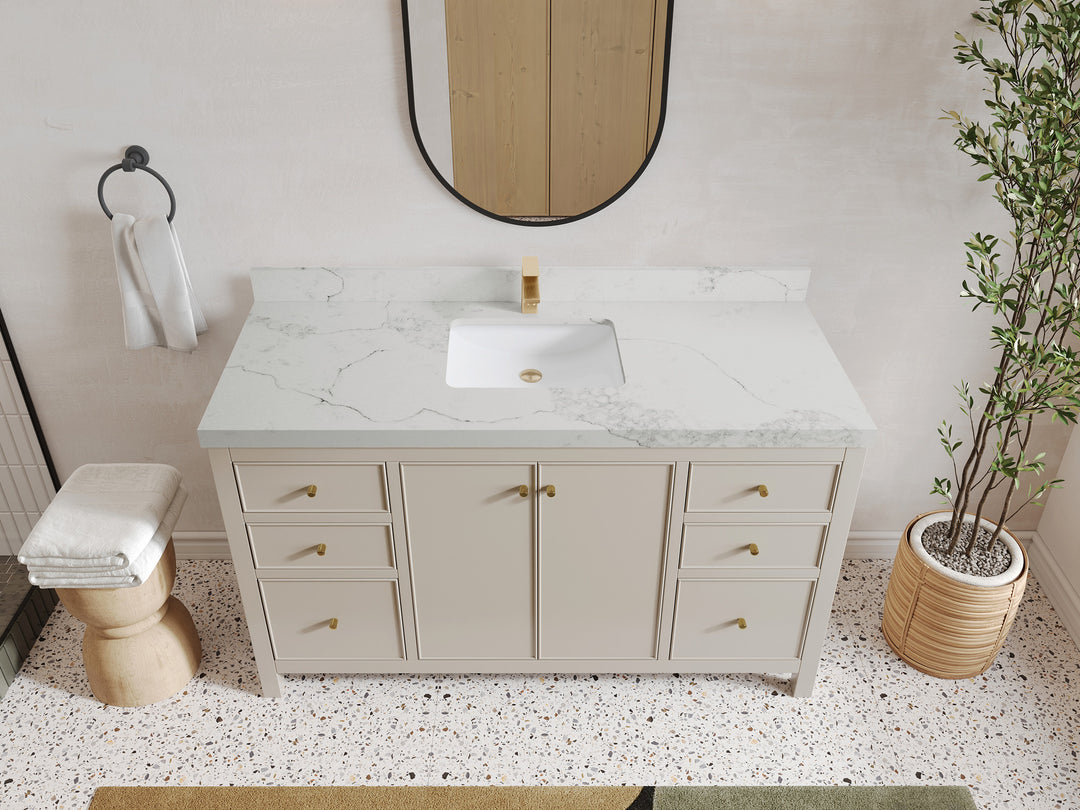 Chicago 60 in. W x 22 in. D Single Sink Bathroom Vanity