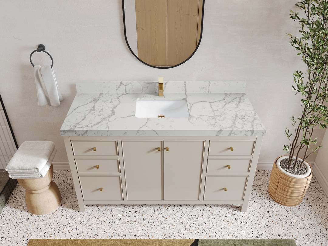 Chicago 60 in. W x 22 in. D Single Sink Bathroom Vanity